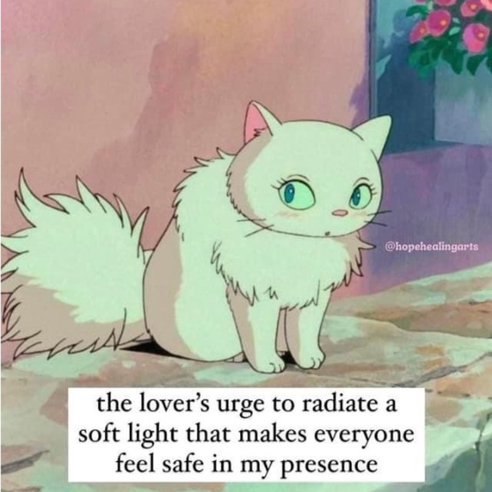 glossed print 💝Anime cat 🌙 🐱